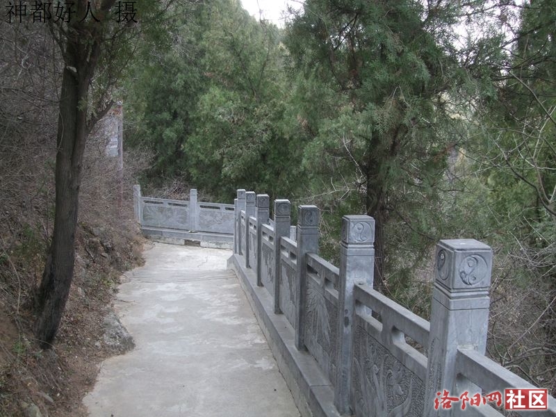 DSCF4038.JPG