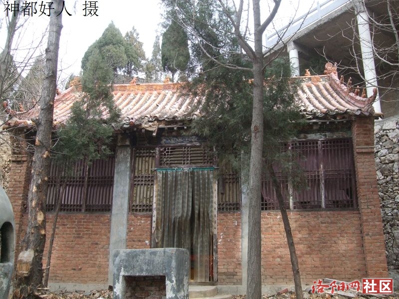 DSCF4135.JPG