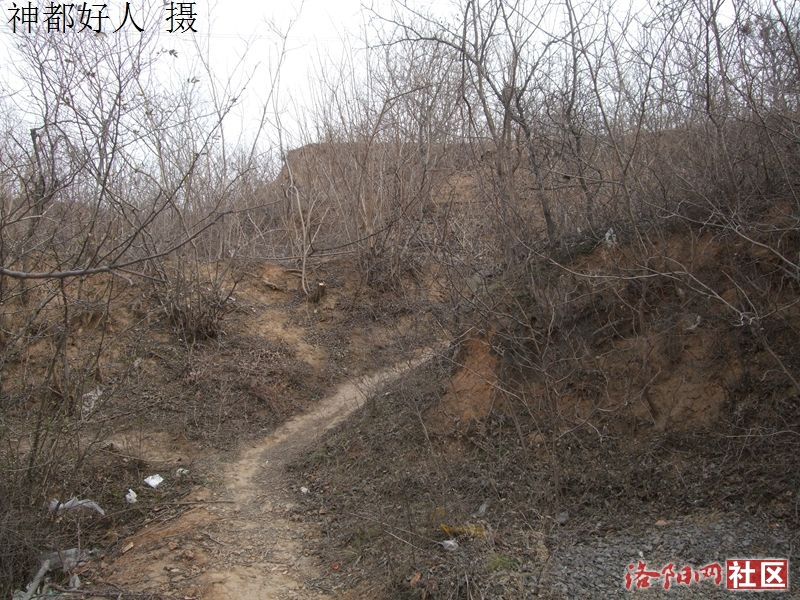 DSCF4174.JPG