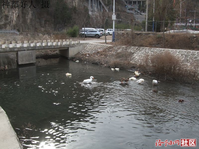 DSCF4178.JPG