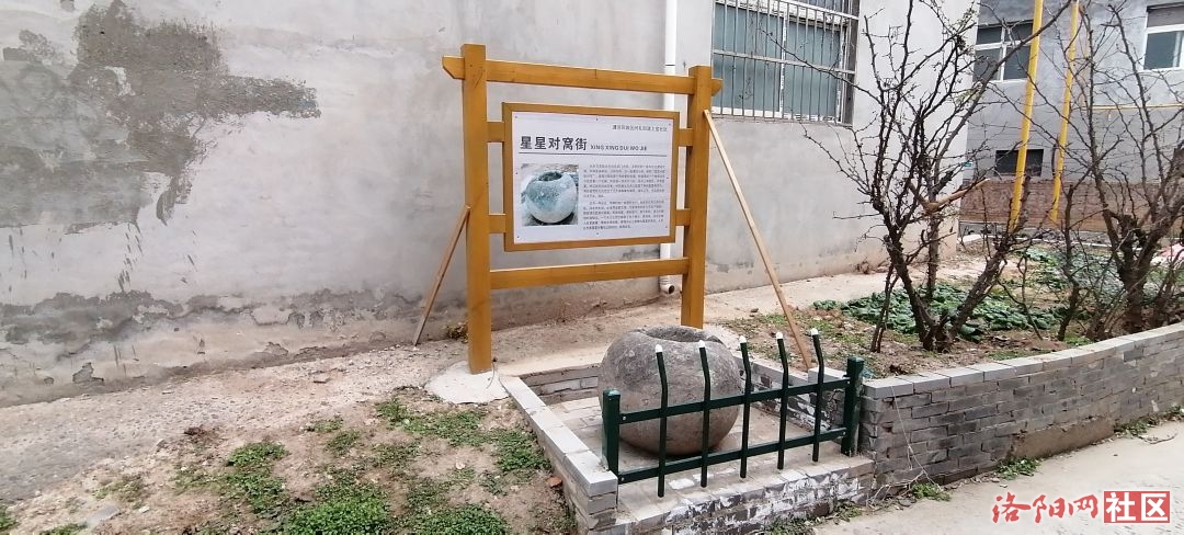 50105.jpg
