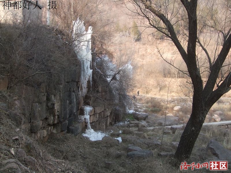 DSCF4017.JPG