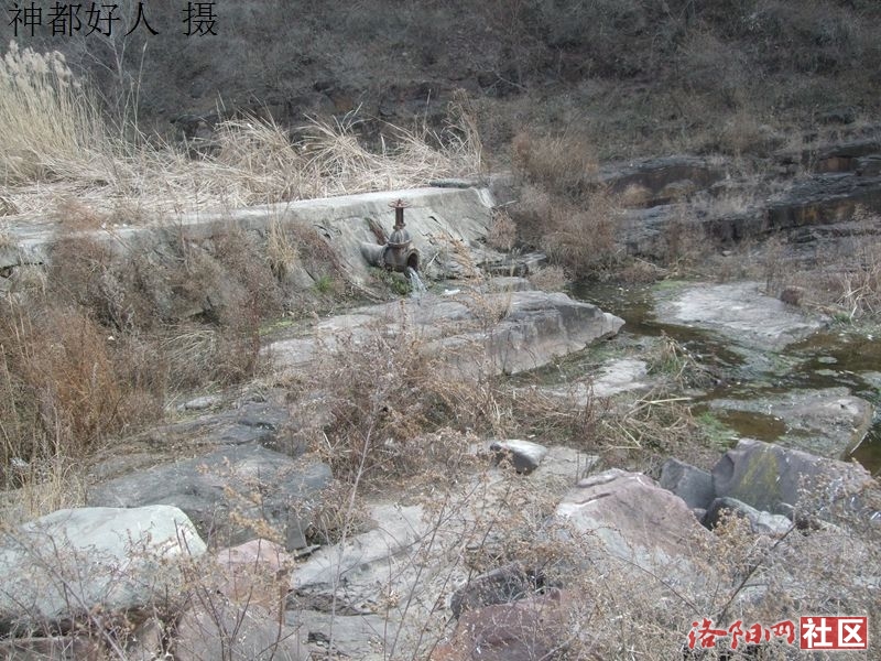 DSCF4035.JPG