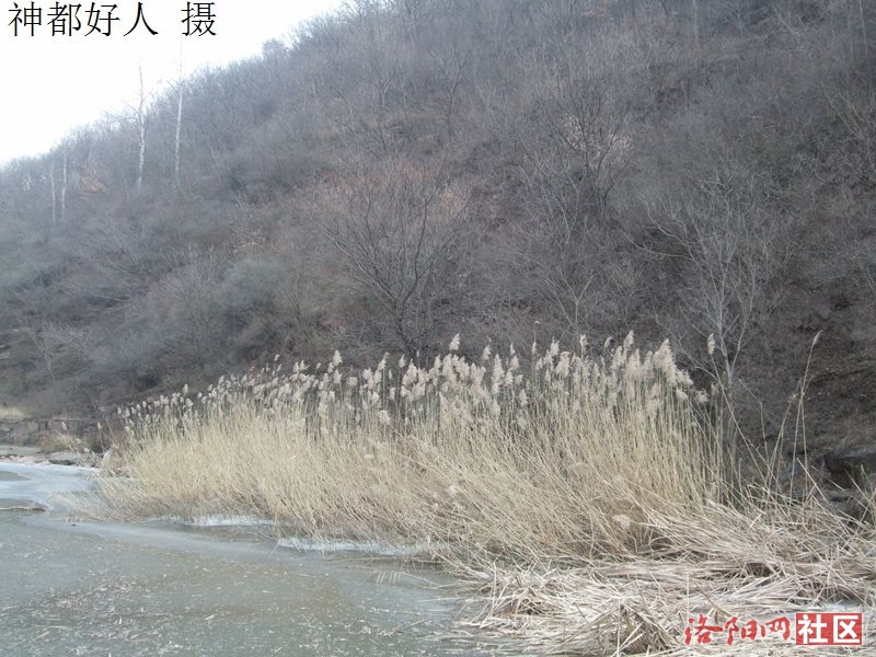 DSCF4038.JPG