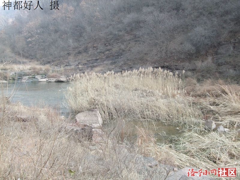 DSCF4039.JPG