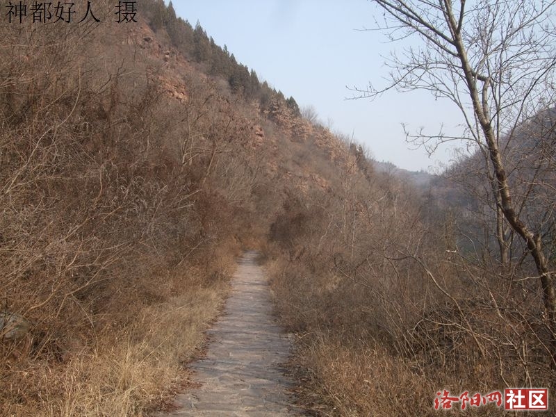 DSCF4040.JPG