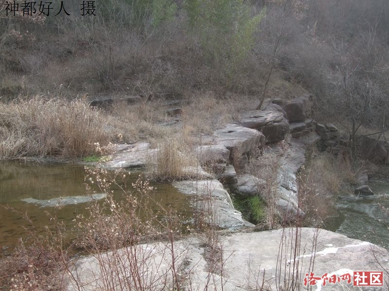 DSCF4050.JPG