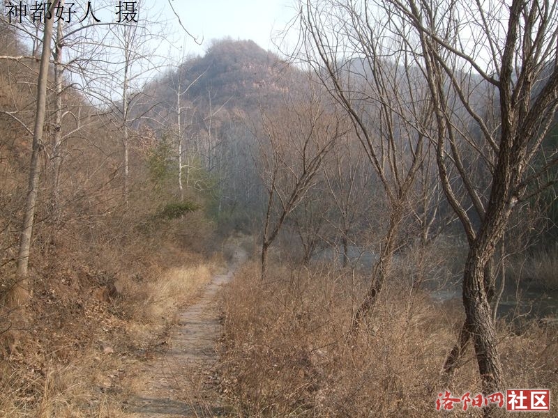 DSCF4061.JPG