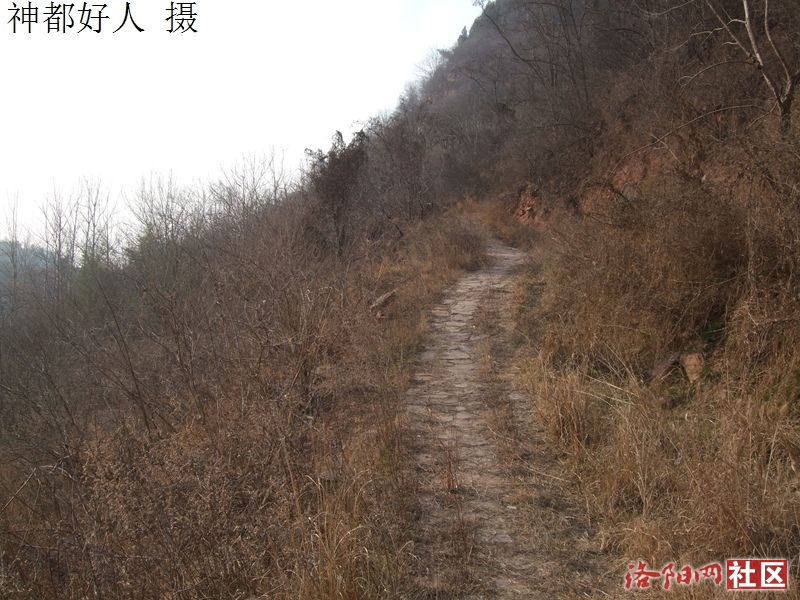 DSCF4060.JPG