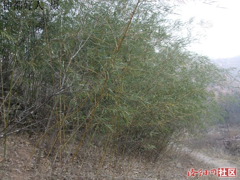 DSCF4063.JPG