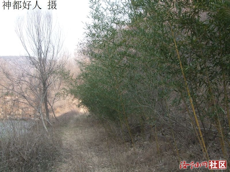 DSCF4074.JPG
