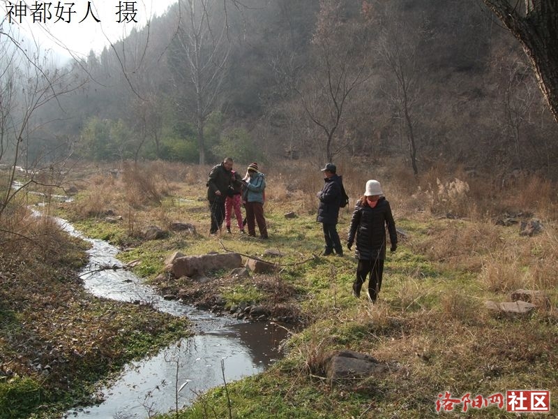 DSCF4080.JPG