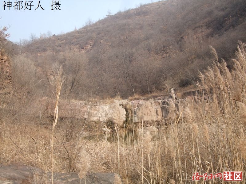 DSCF4113.JPG