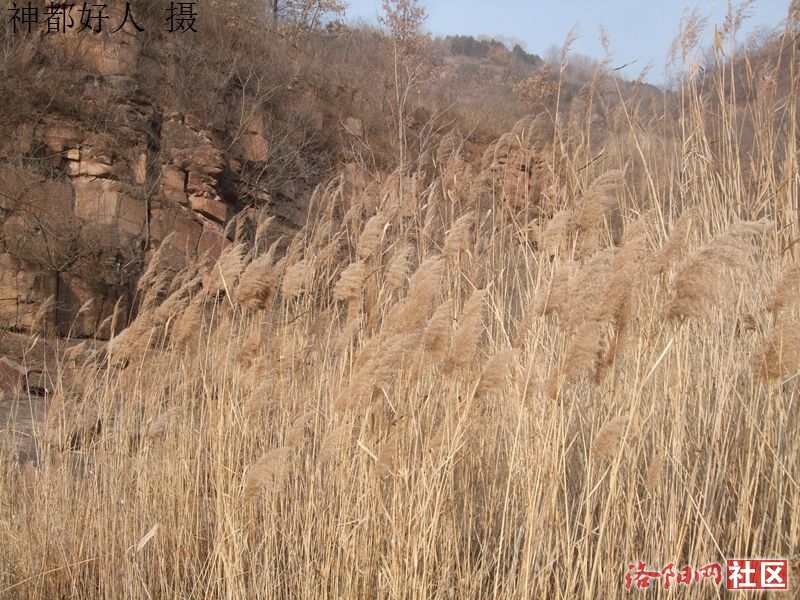 DSCF4115.JPG