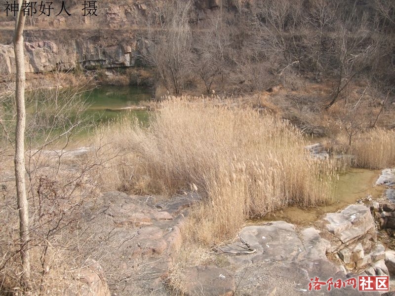 DSCF4123.JPG