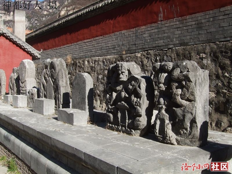 DSCF4114.JPG