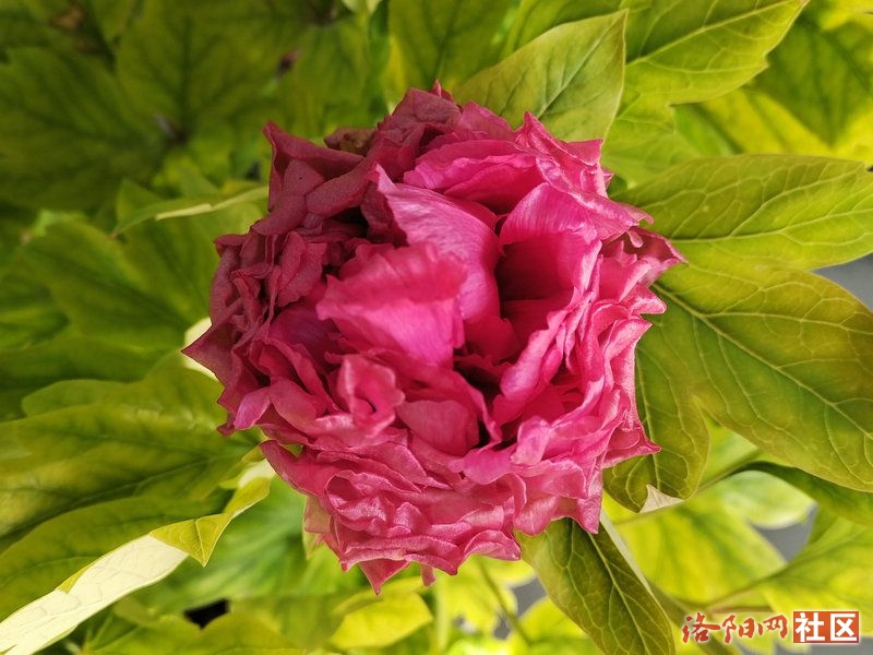 85cd7e47ef80bf8675cf7602bc7dde9.jpg
