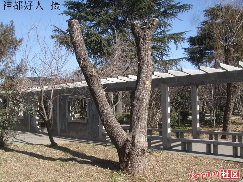 DSCF4054.JPG