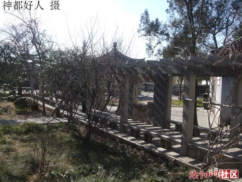 DSCF4055.JPG