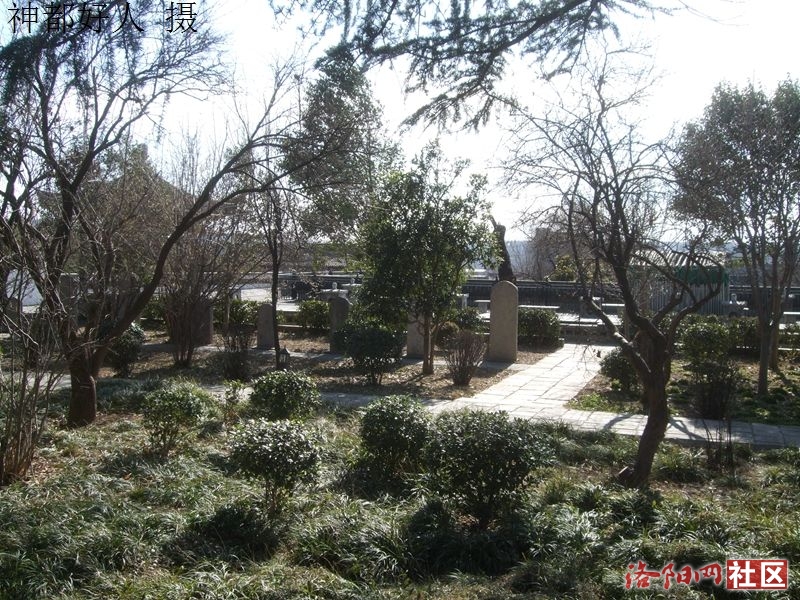 DSCF4058.JPG