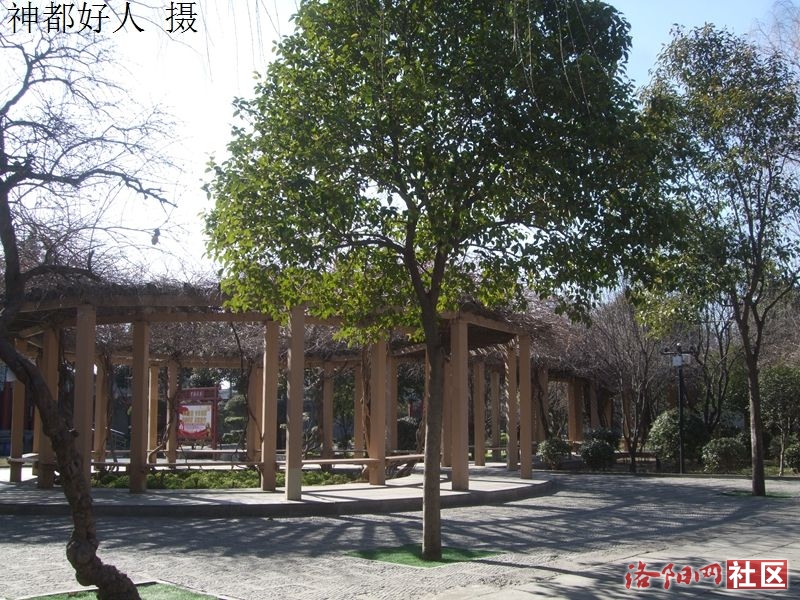 DSCF4071.JPG