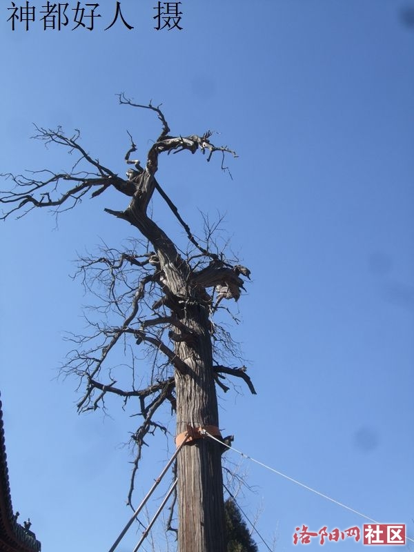DSCF4080.JPG
