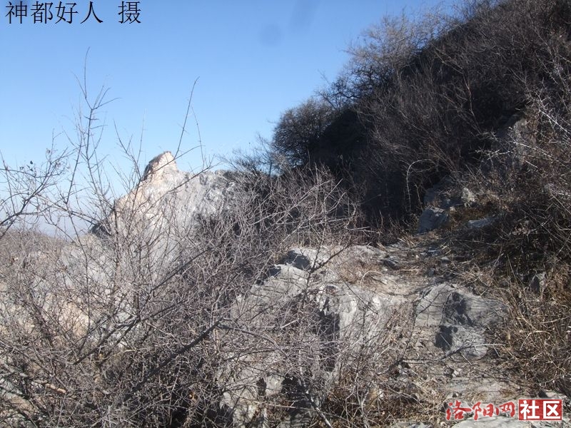 DSCF4048.JPG