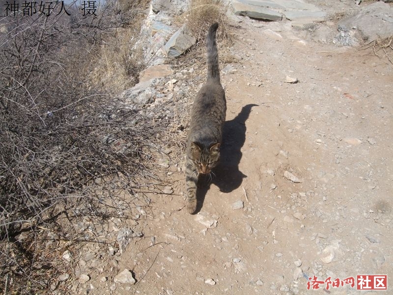 DSCF4108.JPG