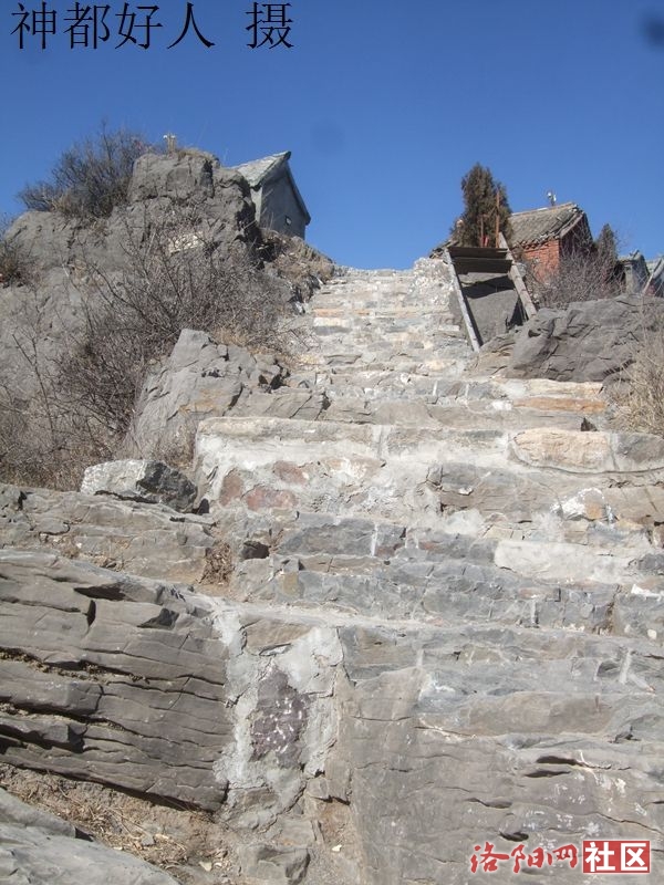 DSCF4130.JPG