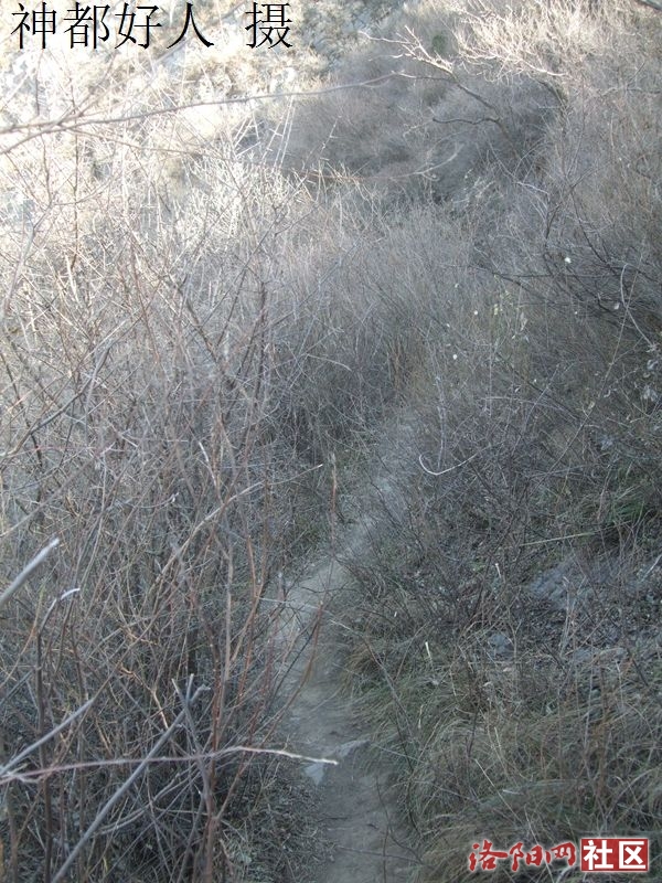 DSCF4166.JPG