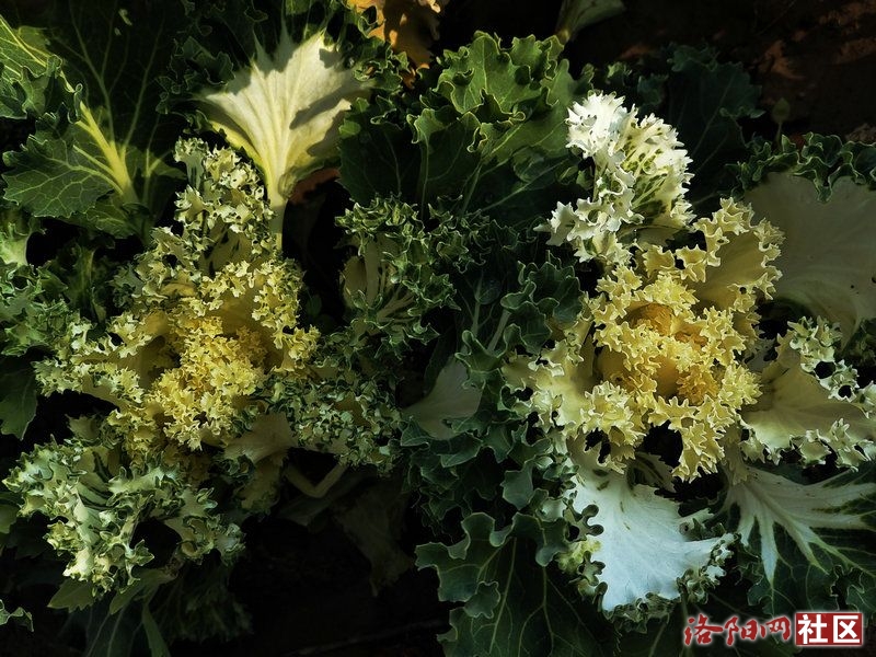 c976d9cb272efecc599886893cbd3bb.jpg