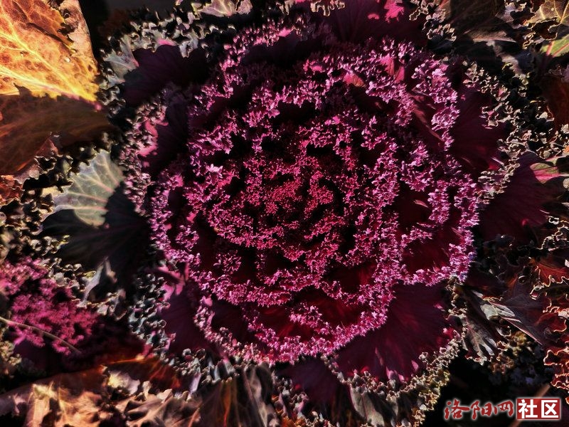 9c8aa5d68e6279ff96e642be038a70f.jpg