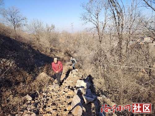 IMG_20250116_100333.jpg