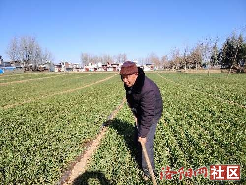 IMG_20250112_111431.jpg