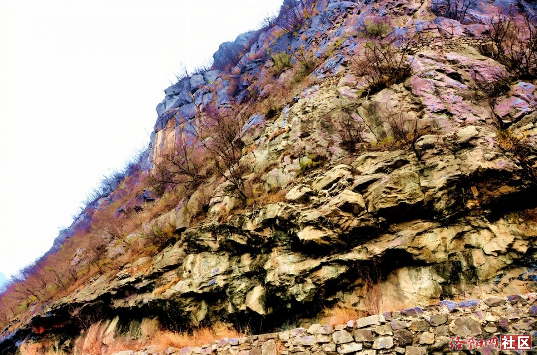 Ŷ62.jpg