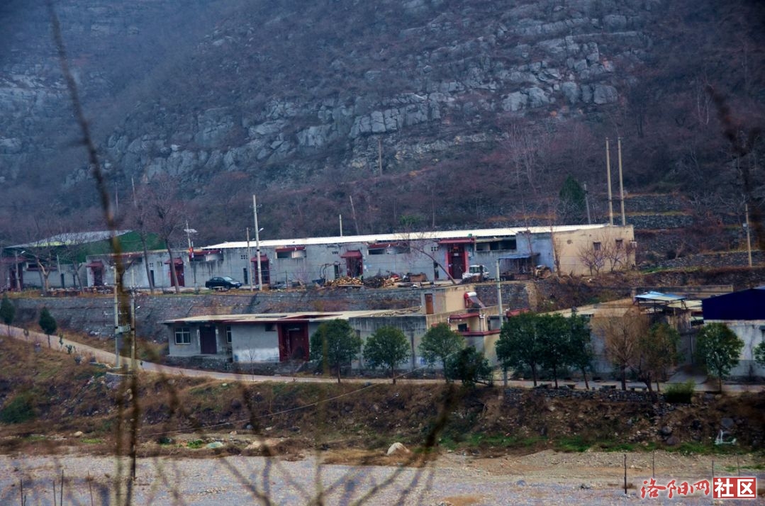 Ŷ109.jpg