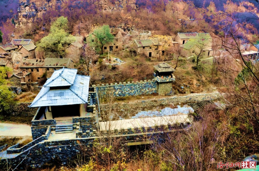 Ŷ115.jpg