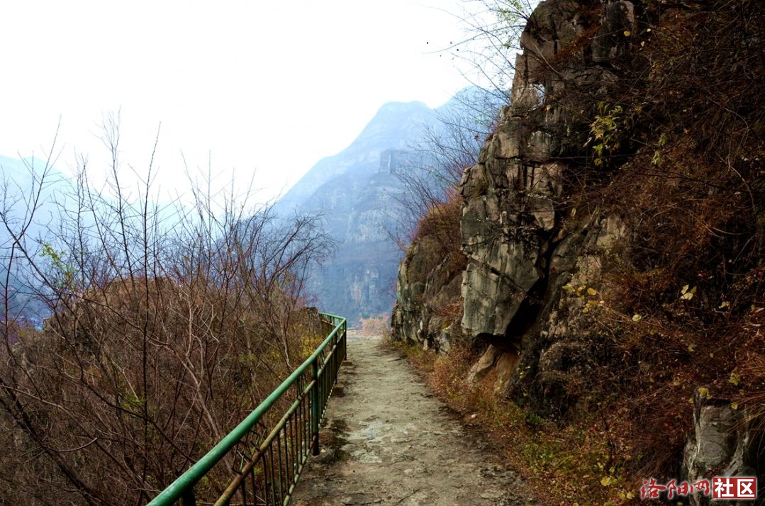 Ŷ116.jpg