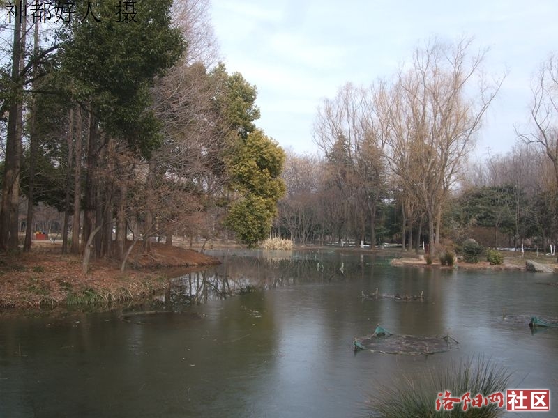 DSCF4013.JPG