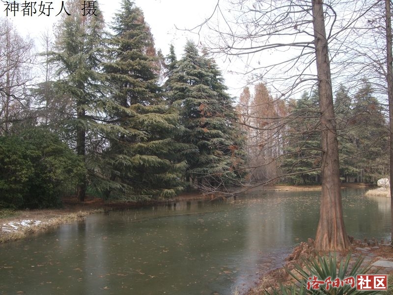 DSCF4016.JPG