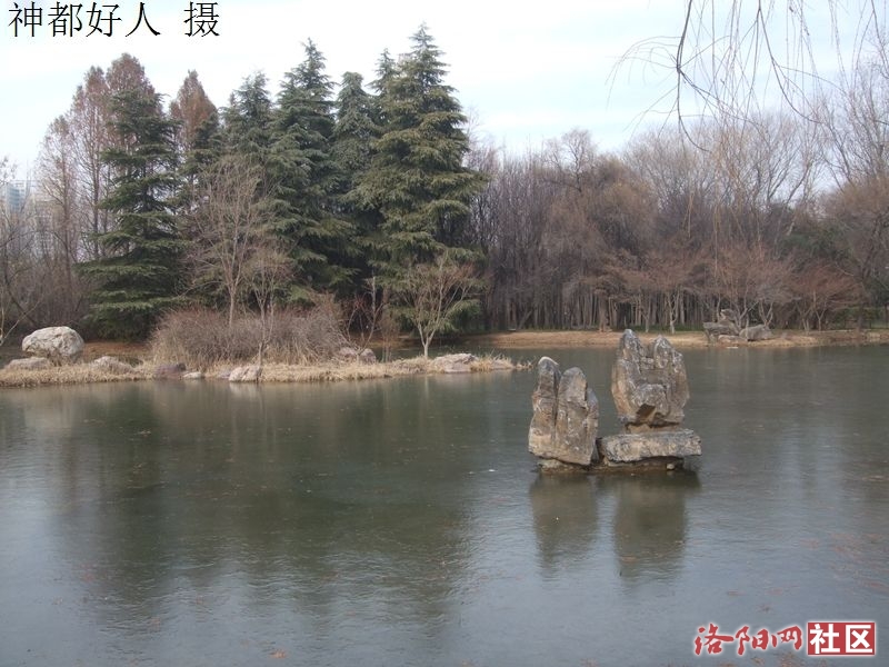 DSCF4017.JPG