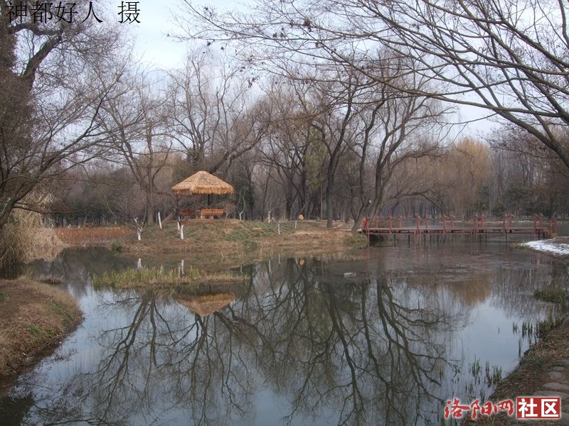 DSCF4018.JPG