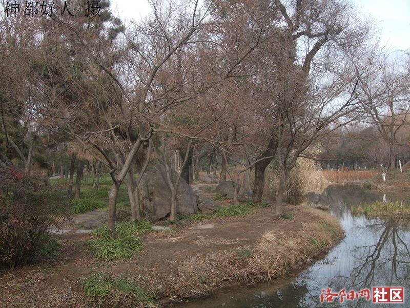 DSCF4019.JPG