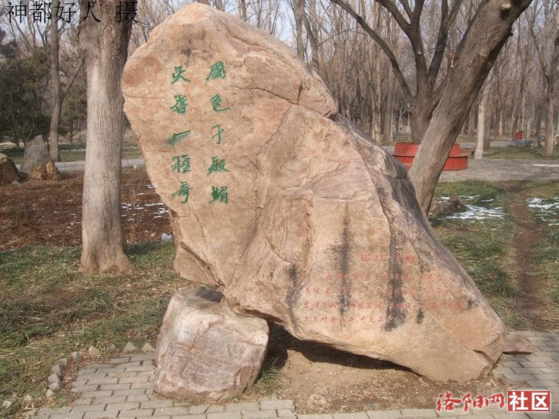 DSCF4023.JPG