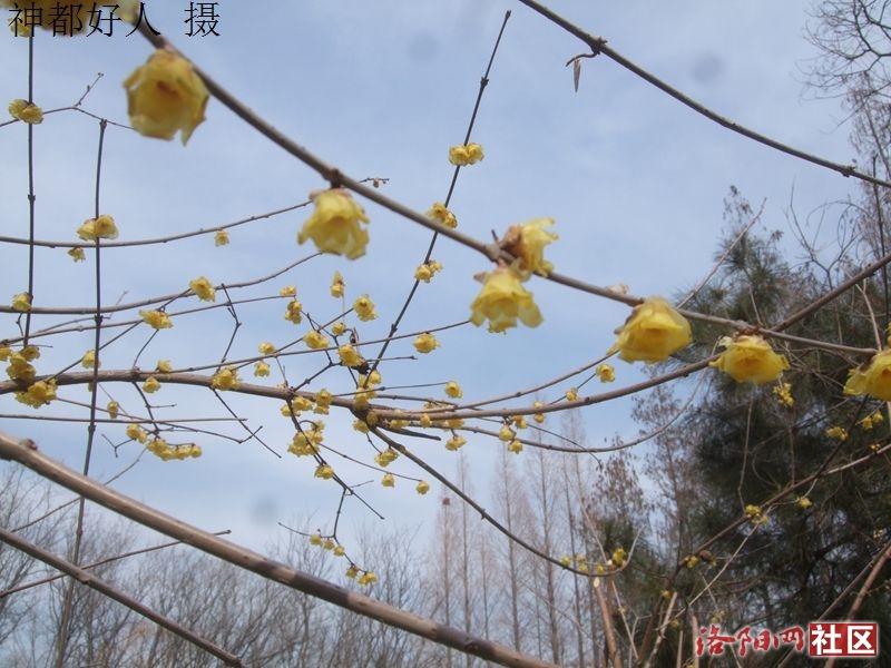 DSCF4024.JPG