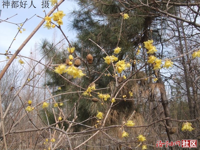 DSCF4025.JPG