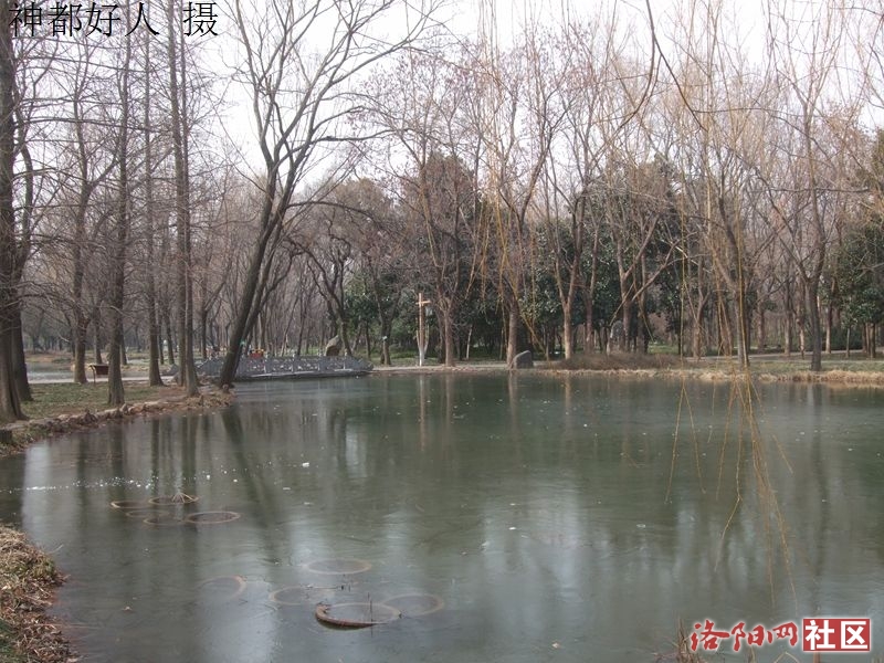 DSCF4026.JPG