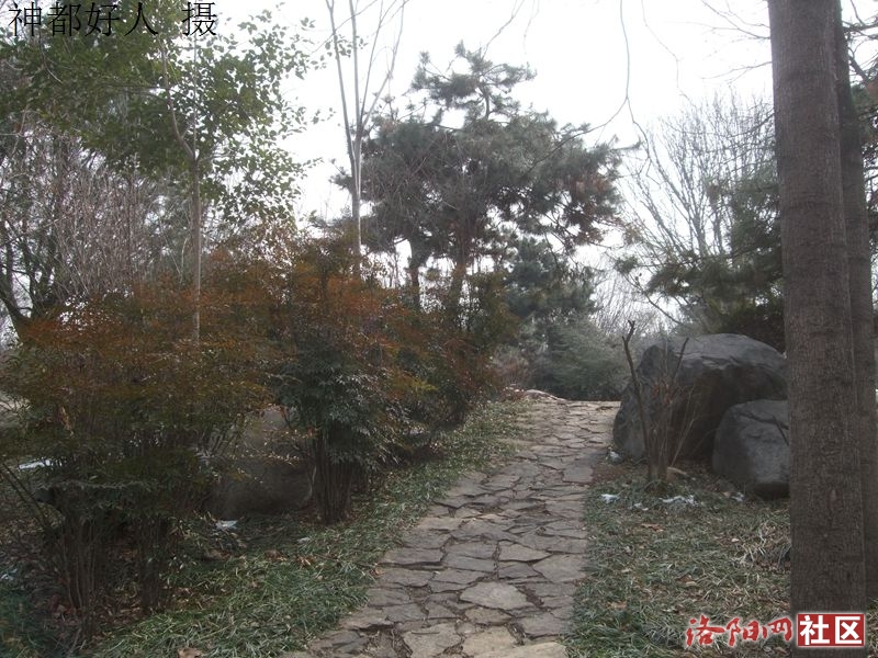 DSCF4027.JPG