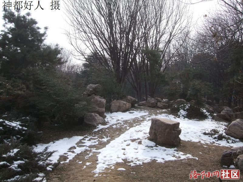 DSCF4028.JPG