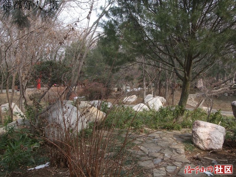 DSCF4029.JPG